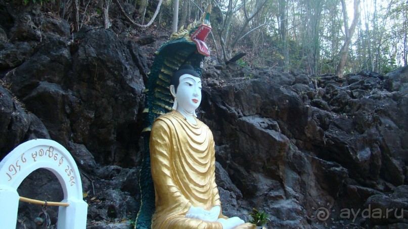 Прекрасный, восхитительный зеленый оазис на берегу Сиамского залива