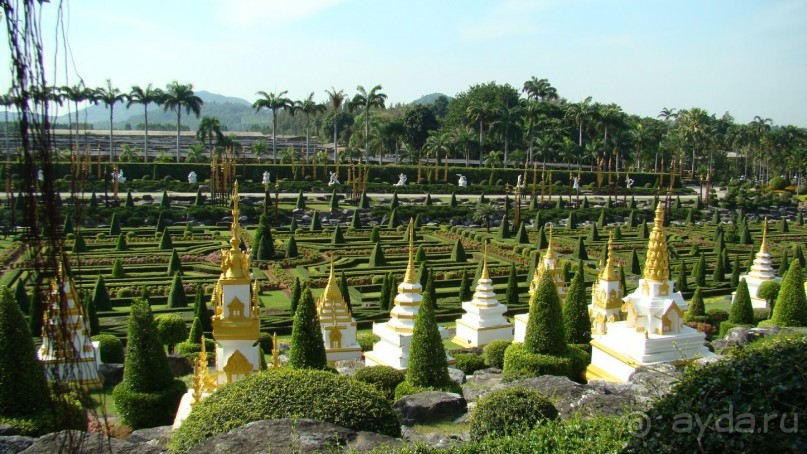 Прекрасный, восхитительный зеленый оазис на берегу Сиамского залива