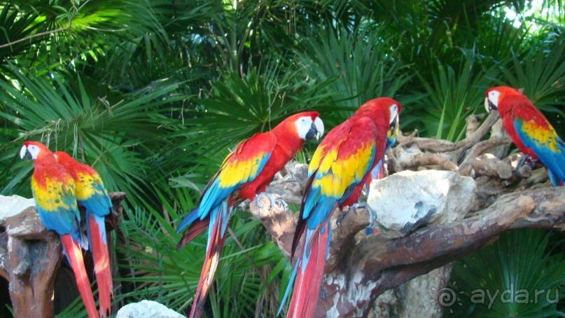 Отличное место для прекрасного отдыха