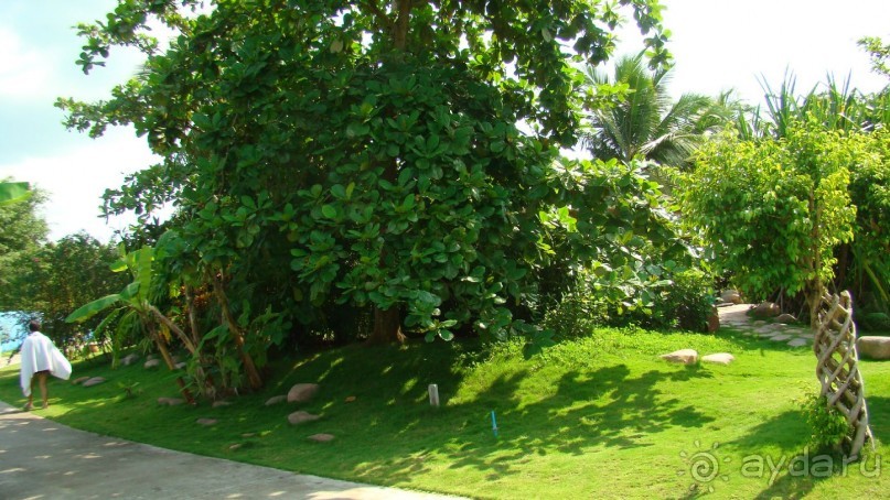 Китай, поездка на о. Хайнань