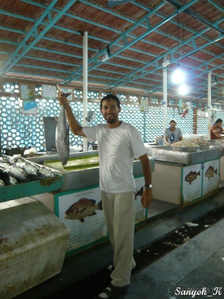 Книга "Незабываемый Иран". Глава 8. Бендер Аббас