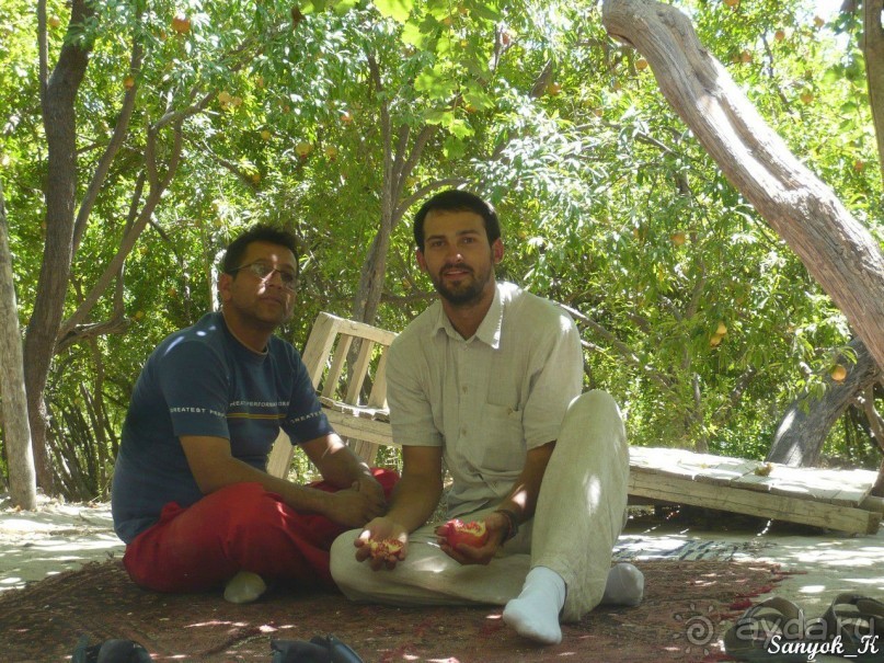 Книга "Незабываемый Иран". Глава 8. Бендер Аббас