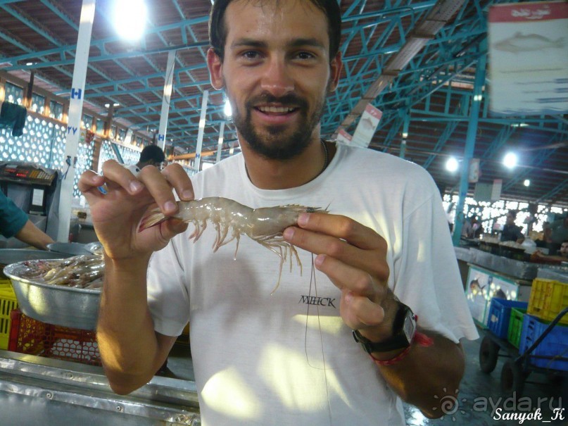 Книга "Незабываемый Иран". Глава 8. Бендер Аббас