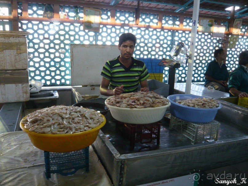 Книга "Незабываемый Иран". Глава 8. Бендер Аббас