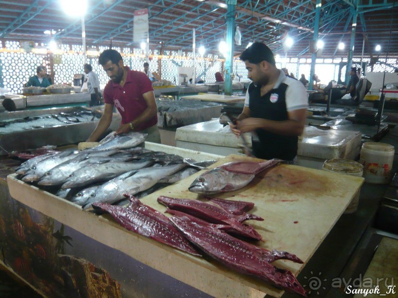 Книга "Незабываемый Иран". Глава 8. Бендер Аббас