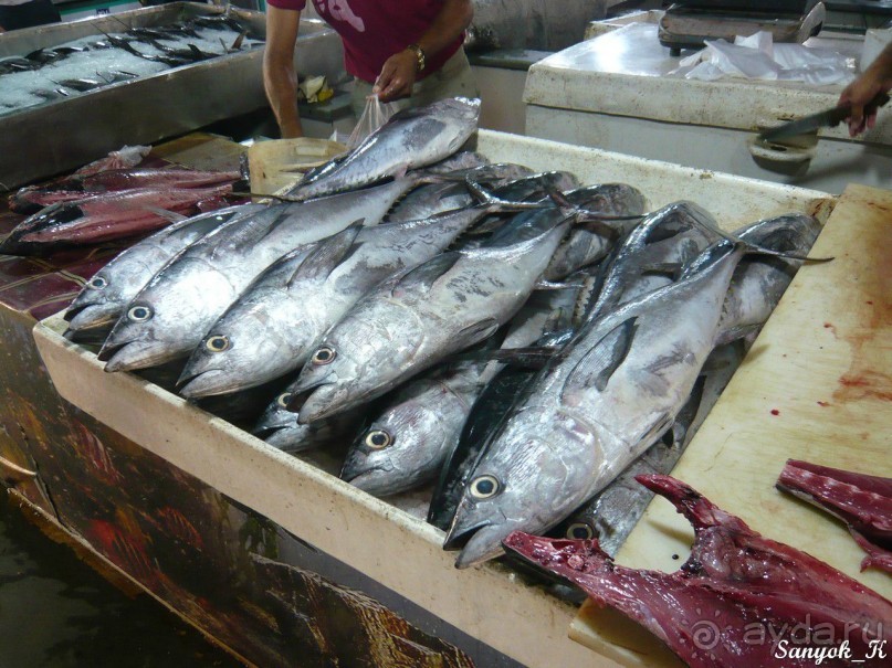 Книга "Незабываемый Иран". Глава 8. Бендер Аббас