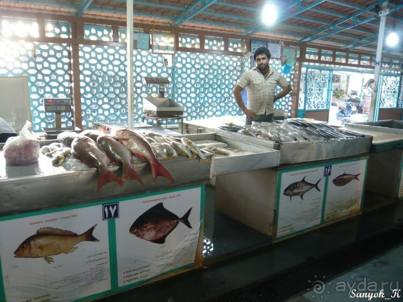 Книга "Незабываемый Иран". Глава 8. Бендер Аббас