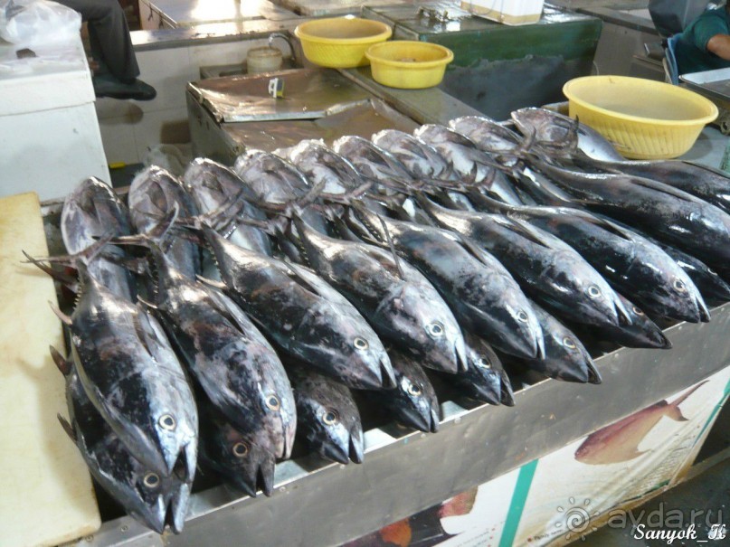 Книга "Незабываемый Иран". Глава 8. Бендер Аббас