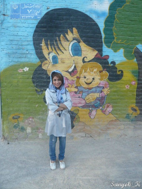 Книга "Незабываемый Иран". Вступление и заключение.