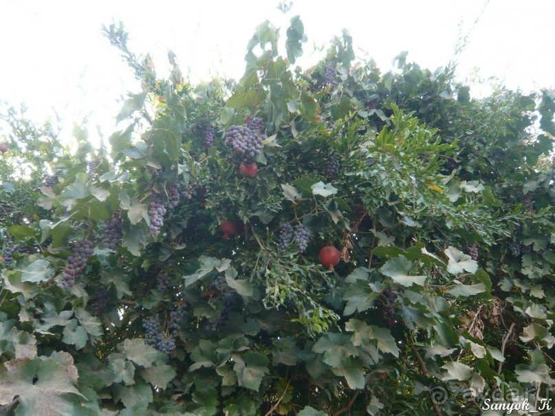 Книга "Незабываемый Иран". Глава 13.1 Керман