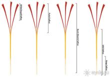 Книга "Незабываемый Иран". Глава 15. Мешхед