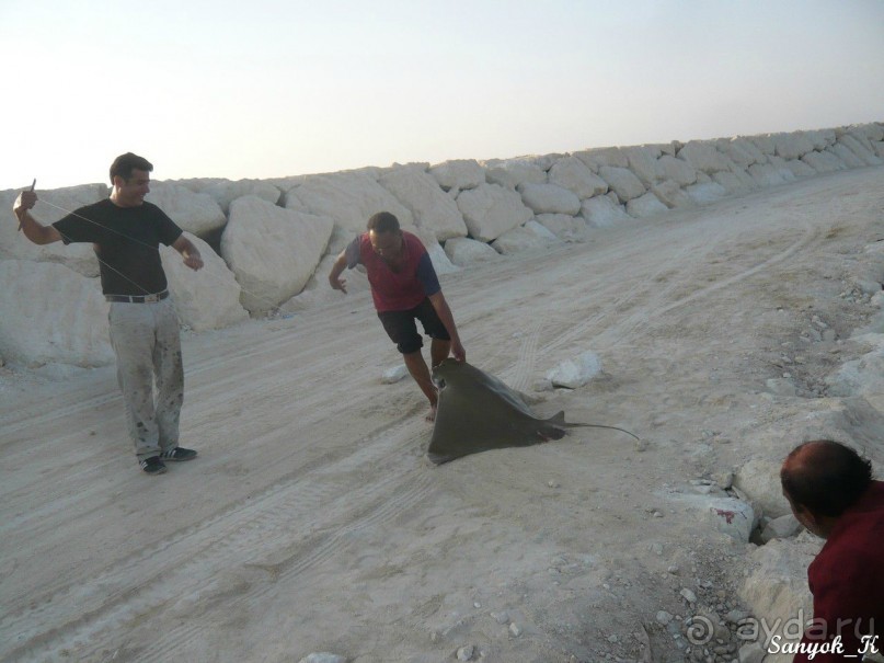 Альбом отзыва "Книга "Незабываемый Иран". Глава 10. Бендер Чарак"