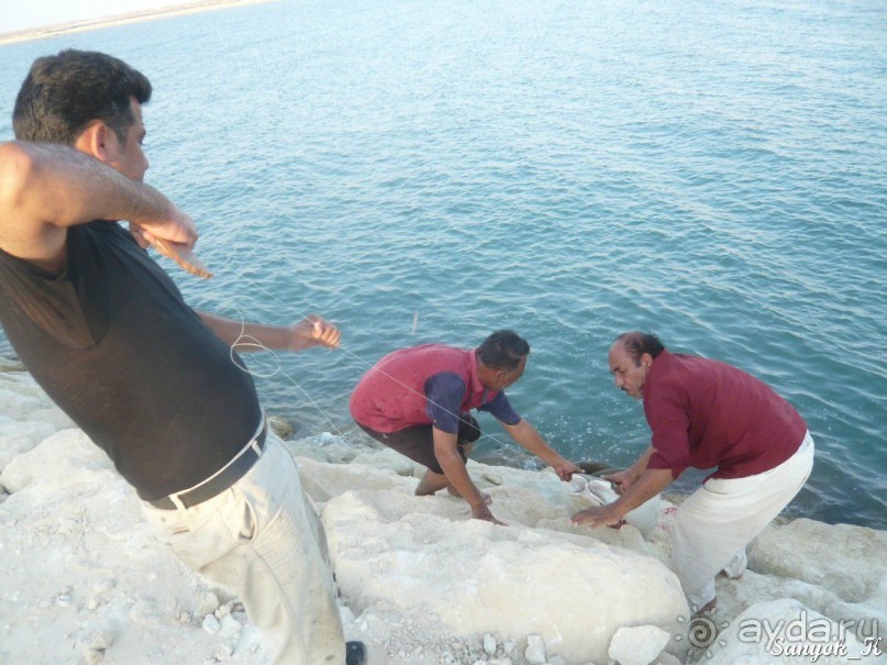 Альбом отзыва "Книга "Незабываемый Иран". Глава 10. Бендер Чарак"