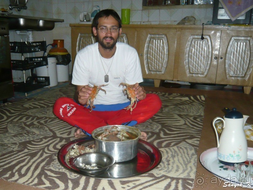 Книга "Незабываемый Иран". Глава 10. Бендер Чарак