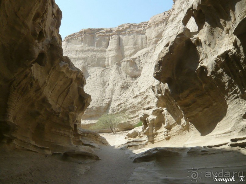 Альбом отзыва "Книга "Незабываемый Иран". Глава 9. Остров Кешм"