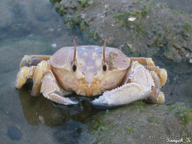 Книга "Незабываемый Иран". Глава 9. Остров Кешм