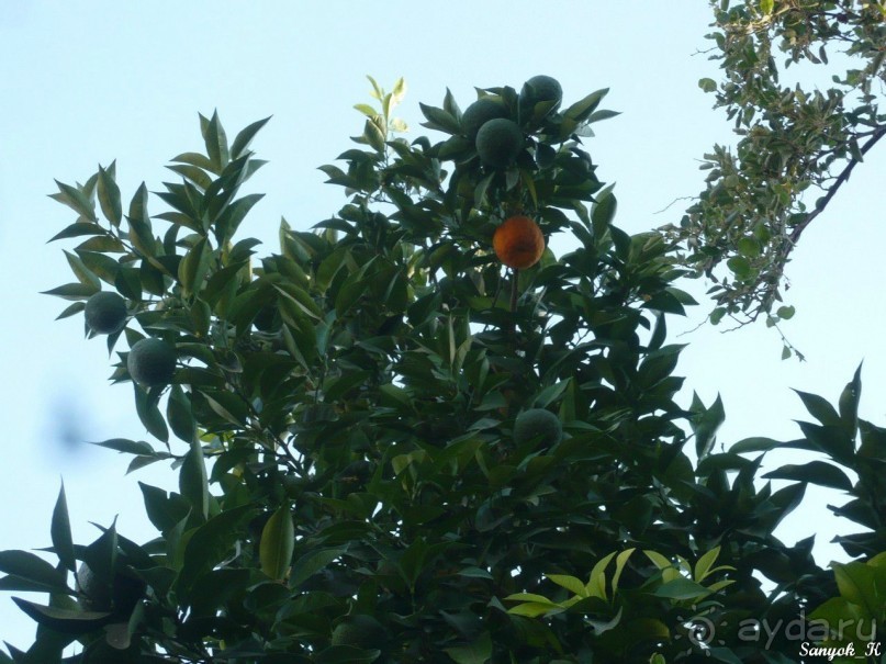 Книга "Незабываемый Иран". Глава 1. Пеший переход из Азербайджана в Иран (КПП Астара)