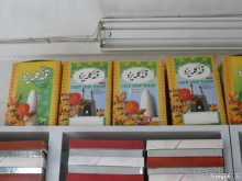 Книга "Незабываемый Иран". Глава 14.1 Йезд (Язд)