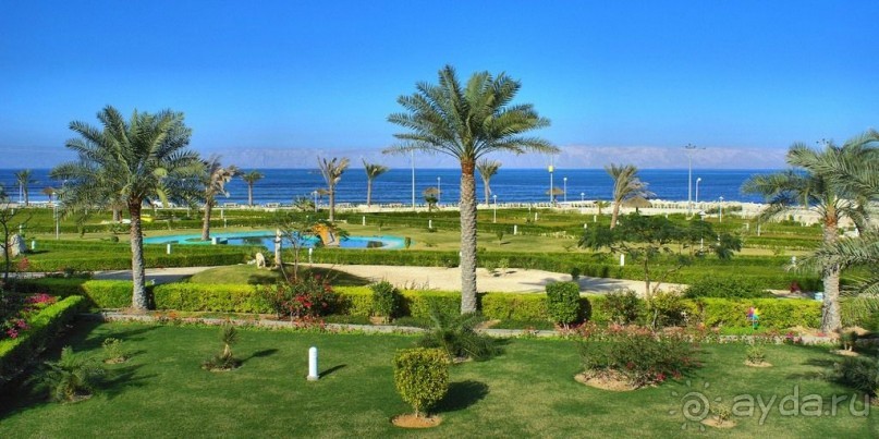 Альбом отзыва "Книга "Незабываемый Иран". Глава 11. Остров Киш"