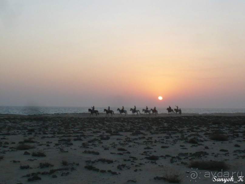 Книга "Незабываемый Иран". Глава 11. Остров Киш