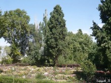 Книга "Незабываемый Иран". Глава 13.2 Достопримечательности Кермана. Махан.