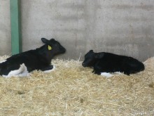 Альбом отзыва "Книга "Незабываемый Иран". Глава 7.1 Шираз"