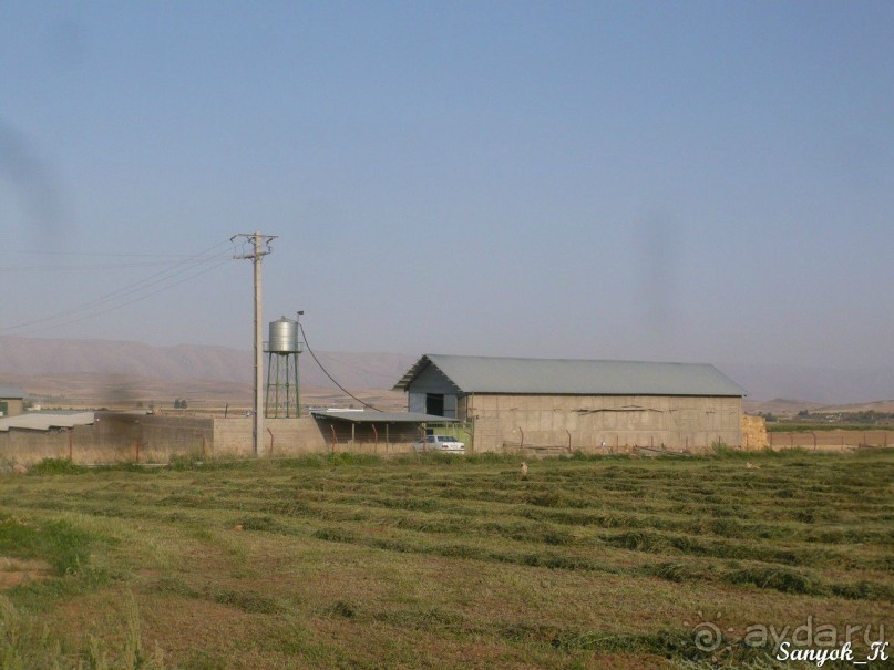 Альбом отзыва "Книга "Незабываемый Иран". Глава 7.1 Шираз"