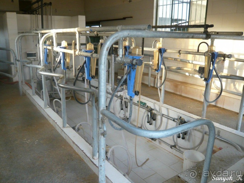 Альбом отзыва "Книга "Незабываемый Иран". Глава 7.1 Шираз"