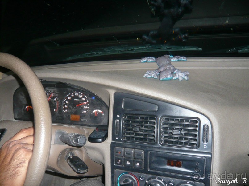 Книга "Незабываемый Иран". Глава 7.1 Шираз