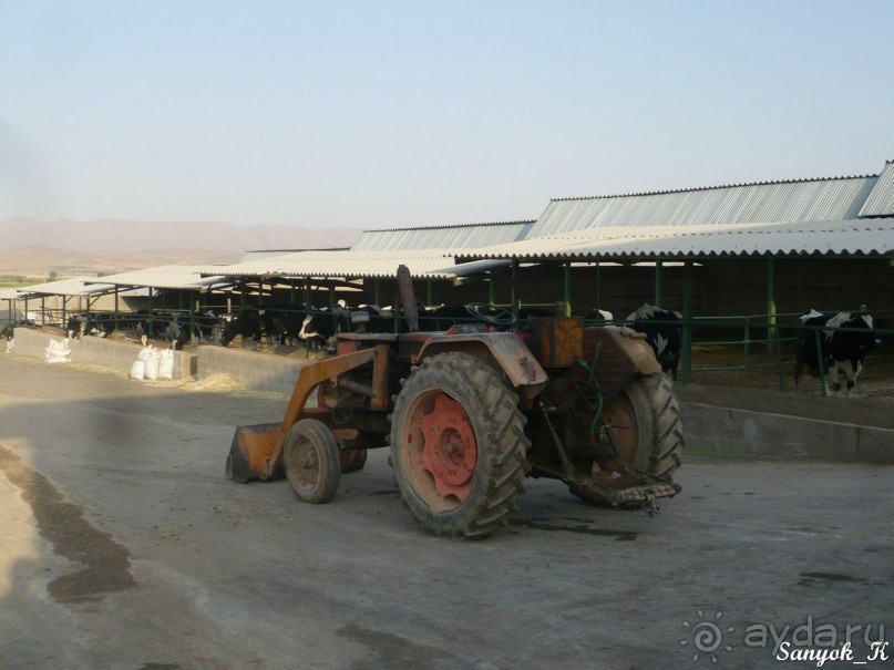 Книга "Незабываемый Иран". Глава 7.1 Шираз