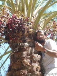 Книга "Незабываемый Иран". Глава 12. Бам