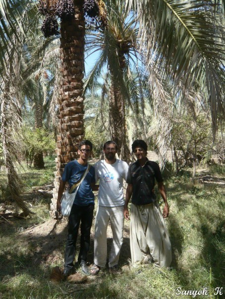 Книга "Незабываемый Иран". Глава 12. Бам