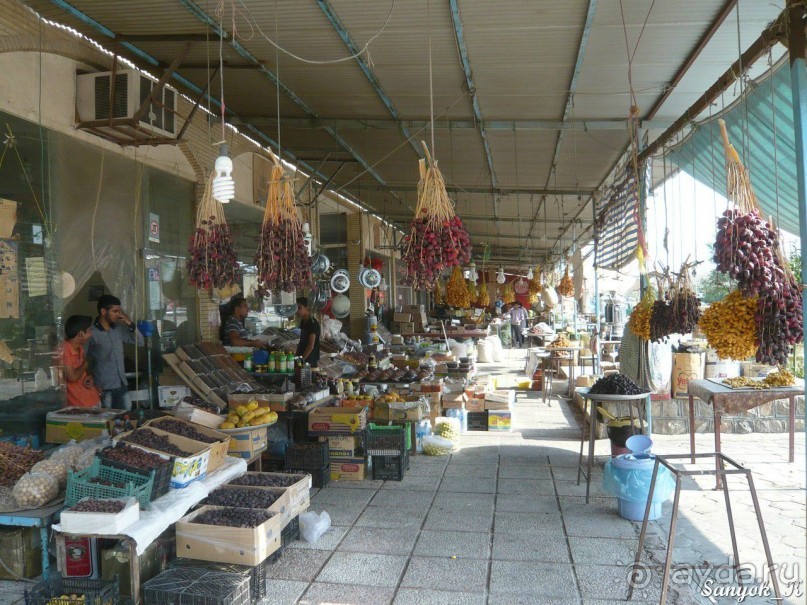 Книга "Незабываемый Иран". Глава 12. Бам