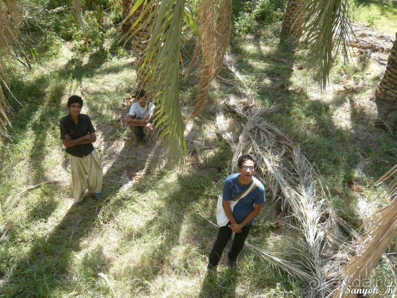 Книга "Незабываемый Иран". Глава 12. Бам