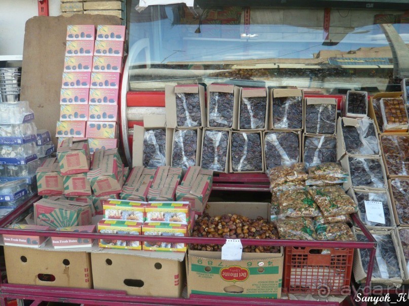 Книга "Незабываемый Иран". Глава 12. Бам