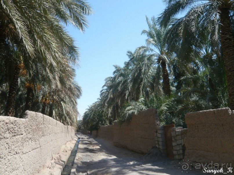 Книга "Незабываемый Иран". Глава 12. Бам