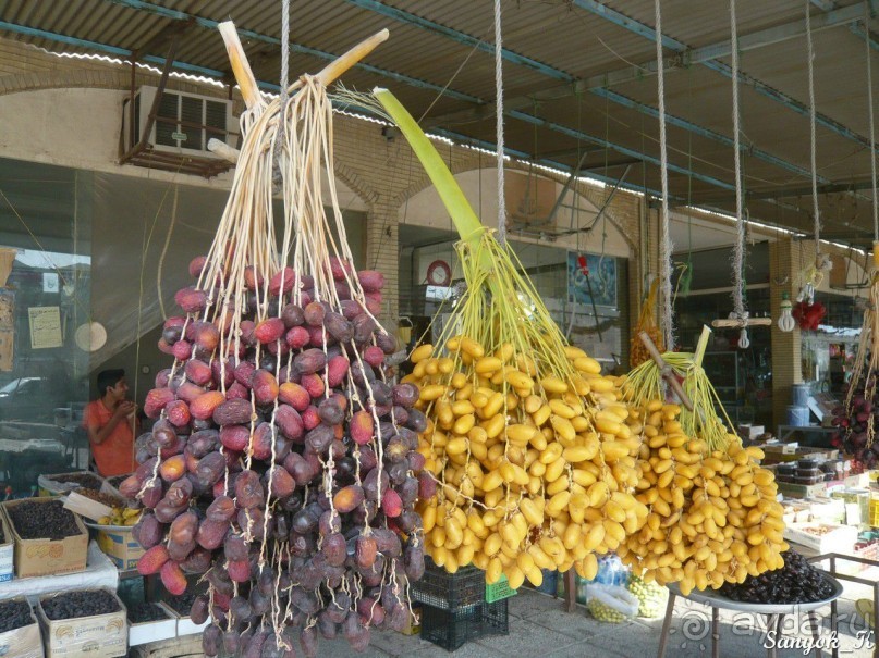 Книга "Незабываемый Иран". Глава 12. Бам