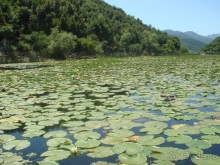 Дневник отдыха в Черногории