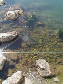 Дневник отдыха в Черногории