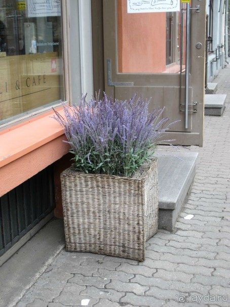 Паром «PRINCESS ANASTASIA ( «Принцесса Анастасия»)- путешествие из Петербурга в… Скандинавию!  