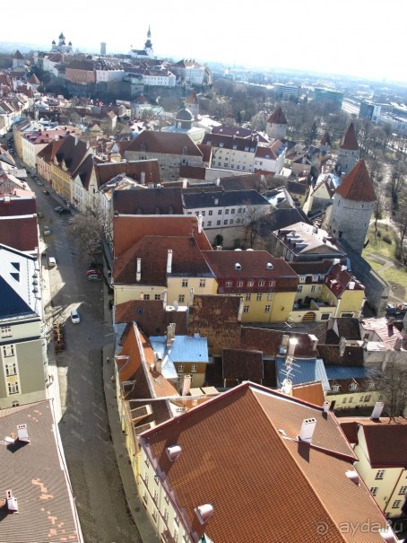 Паром «PRINCESS ANASTASIA ( «Принцесса Анастасия»)- путешествие из Петербурга в… Скандинавию!  