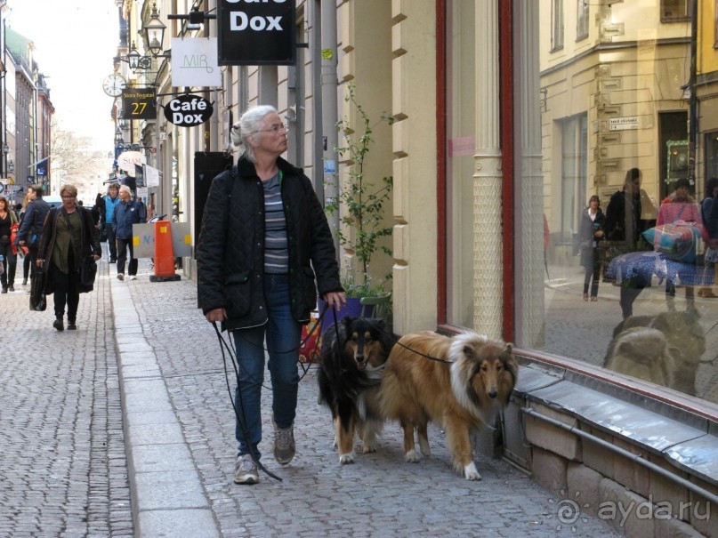 Паром «PRINCESS ANASTASIA ( «Принцесса Анастасия»)- путешествие из Петербурга в… Скандинавию!  