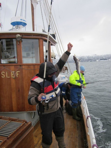 Альбом рассказа "Как мужики на рыбалку собрались! День 3 или первая победа!"