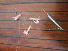 Альбом рассказа "Как мужики на рыбалку собрались! День 3 или первая победа!"