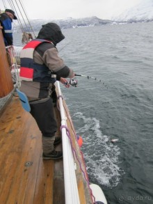 Альбом рассказа "Как мужики на рыбалку собрались! День 3 или первая победа!"