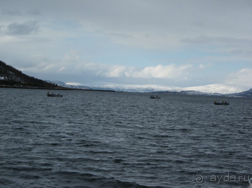 Альбом рассказа "Как мужики на рыбалку собрались! День 3 или первая победа!"