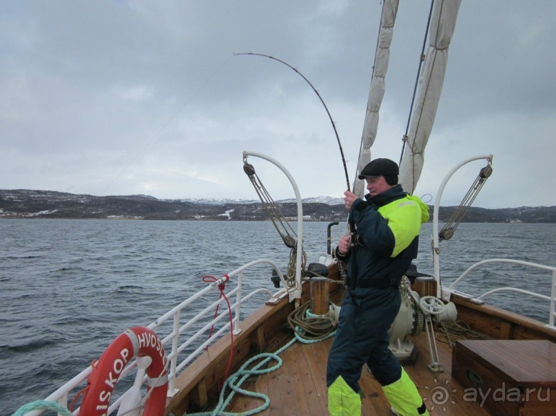 Альбом рассказа "Как мужики на рыбалку собрались! День 3 или первая победа!"
