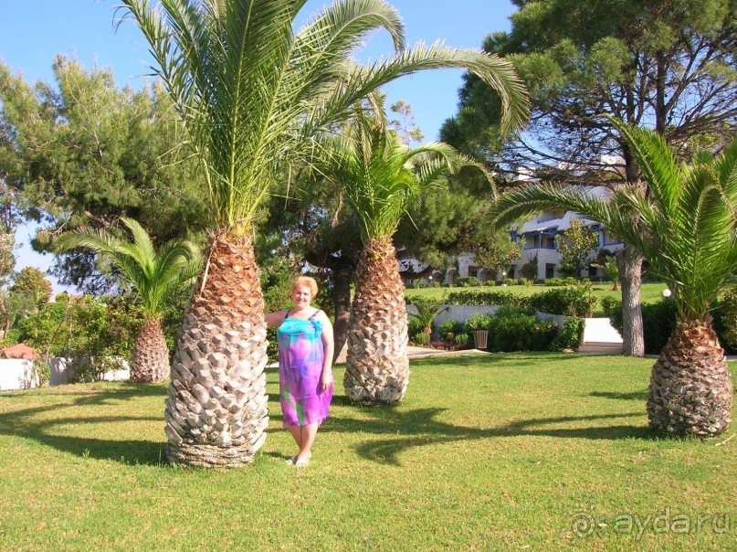 фото Aldemar Amilia Amare(ex.Aldemar Paradise Mare)
