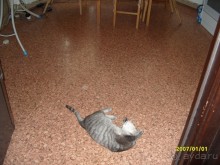 Никогда не приезжайте в этот отель!!!