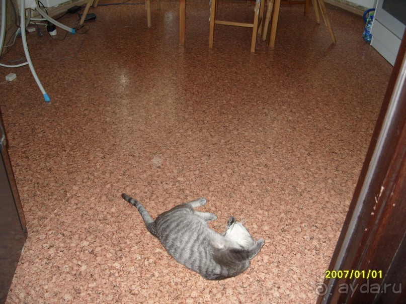 Никогда не приезжайте в этот отель!!!